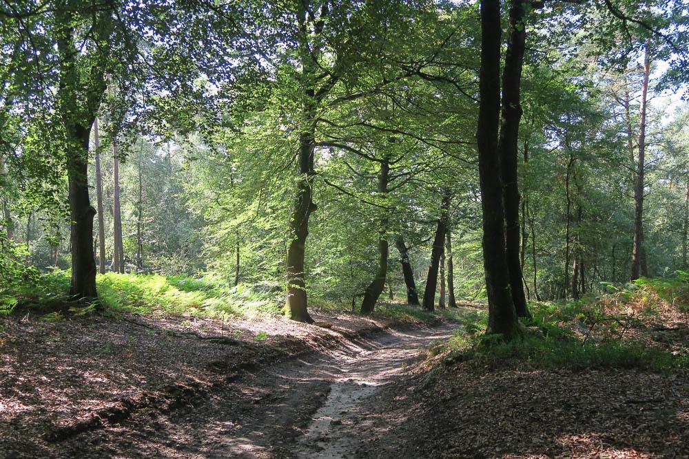 Het Kleine Landgoed Haarle Exterior foto