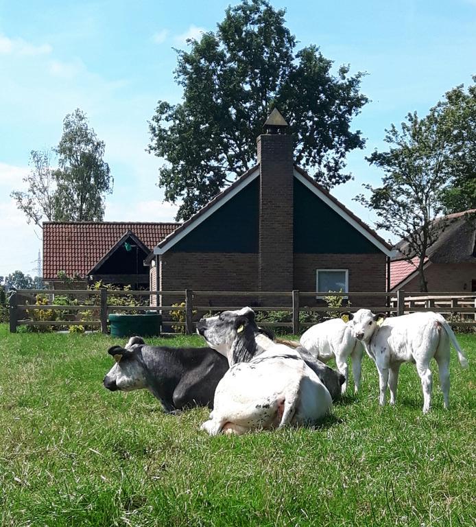 Het Kleine Landgoed Haarle Exterior foto